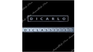 vin dicarlo, day, game, lays, sex, daygame, interview, meet, women, attraction, seduction,